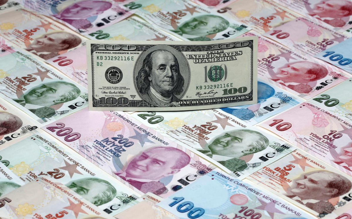dolar tl 2