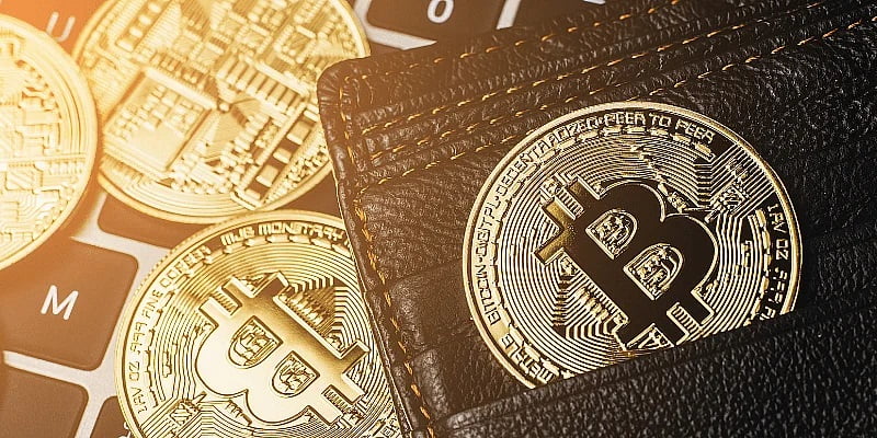 Analist: "Fiyat Düşerken En Zengin Cüzdanlara Bitcoin Akmaya Devam Etti"