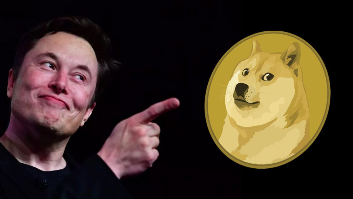 doge and musk