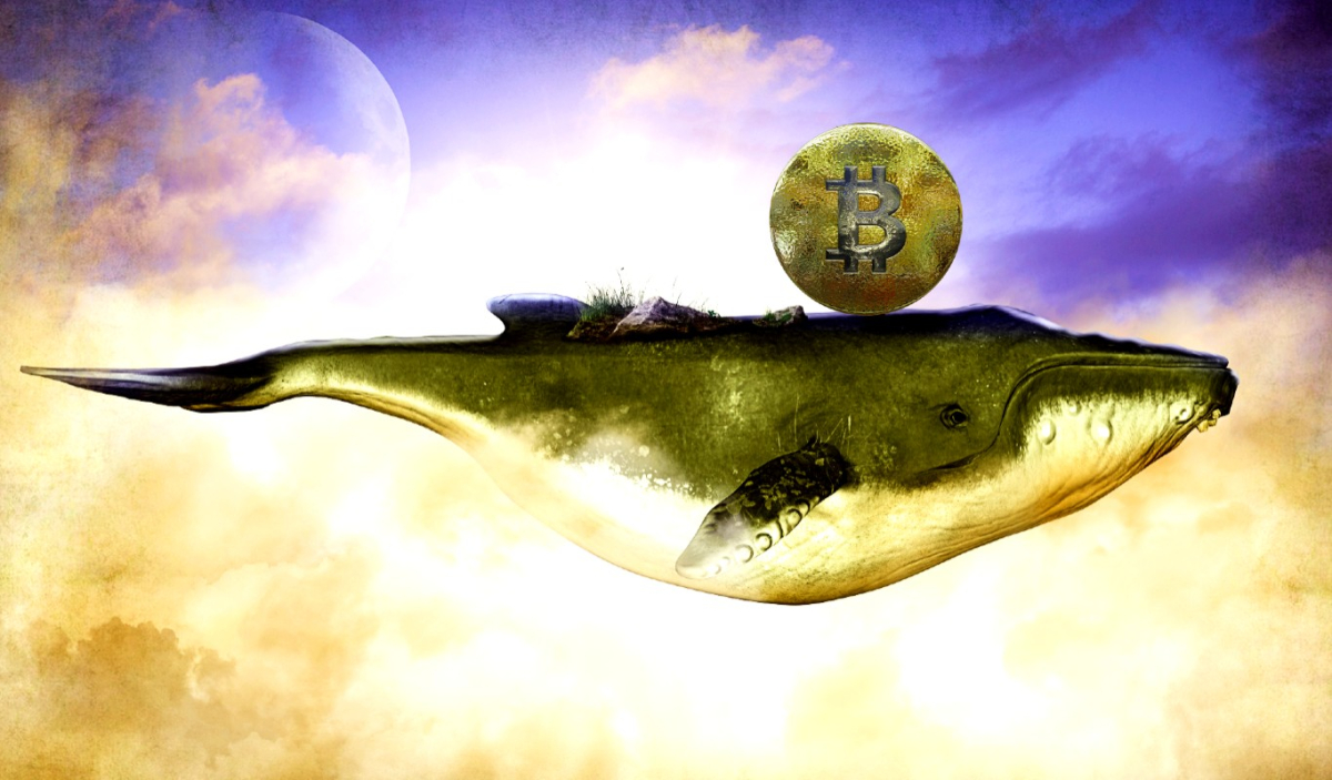 Bitcoin Balinaları Kâr Alımına Başladı! “Bu Seviyelere Çok Dikkat”