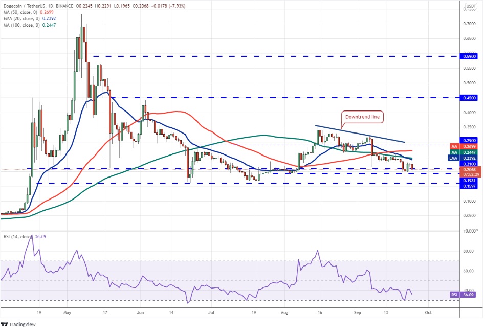 Fiyat Analizi: BTC, DOT ve 8 altcoin