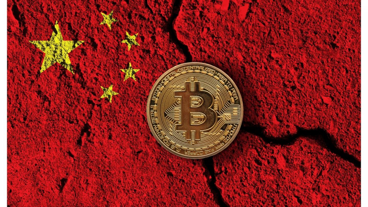 btc 7