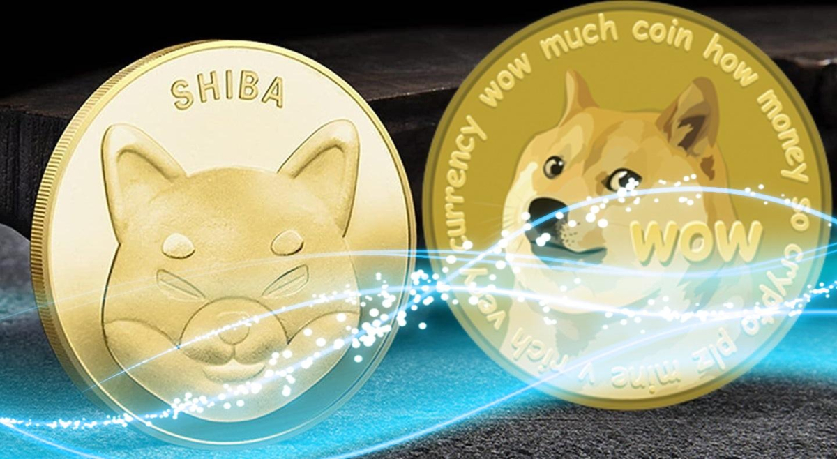 shiba doge 2