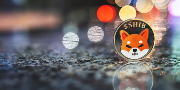 Shiba Inu SHIB Cryptocurrency Spotlight Growth