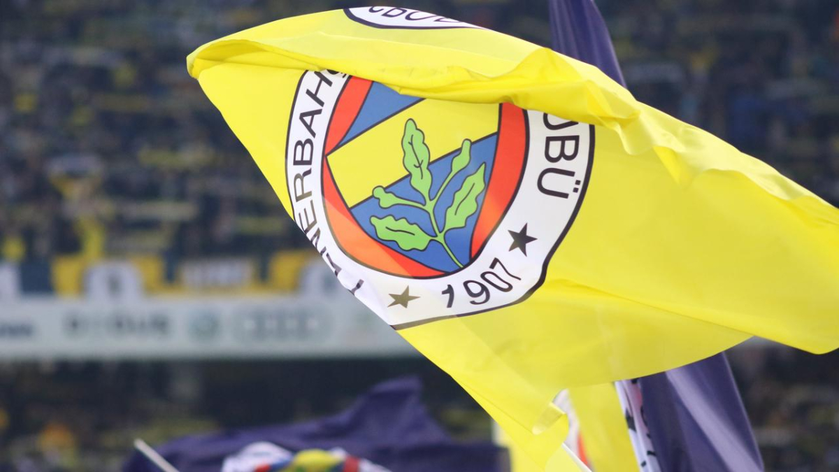 Sıcak Gelişme: Fenerbahçe Bu Meme Coin ile El Sıkıştı!