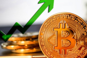 bitcoin up trading software trading vGa8