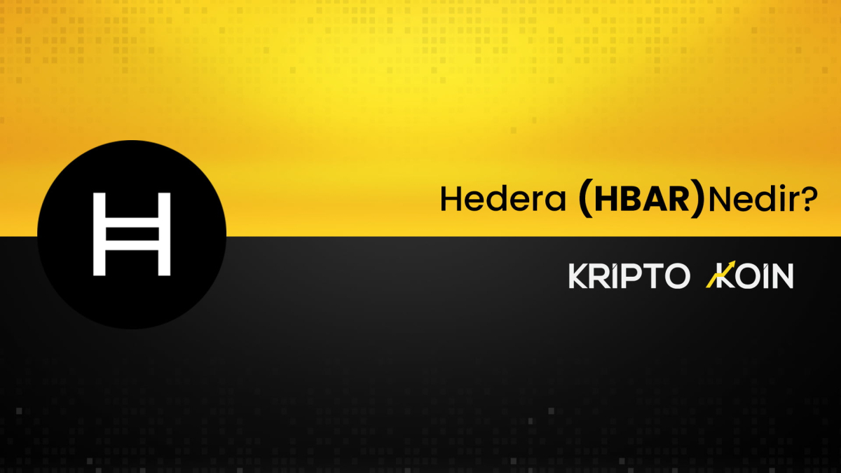 Hedera