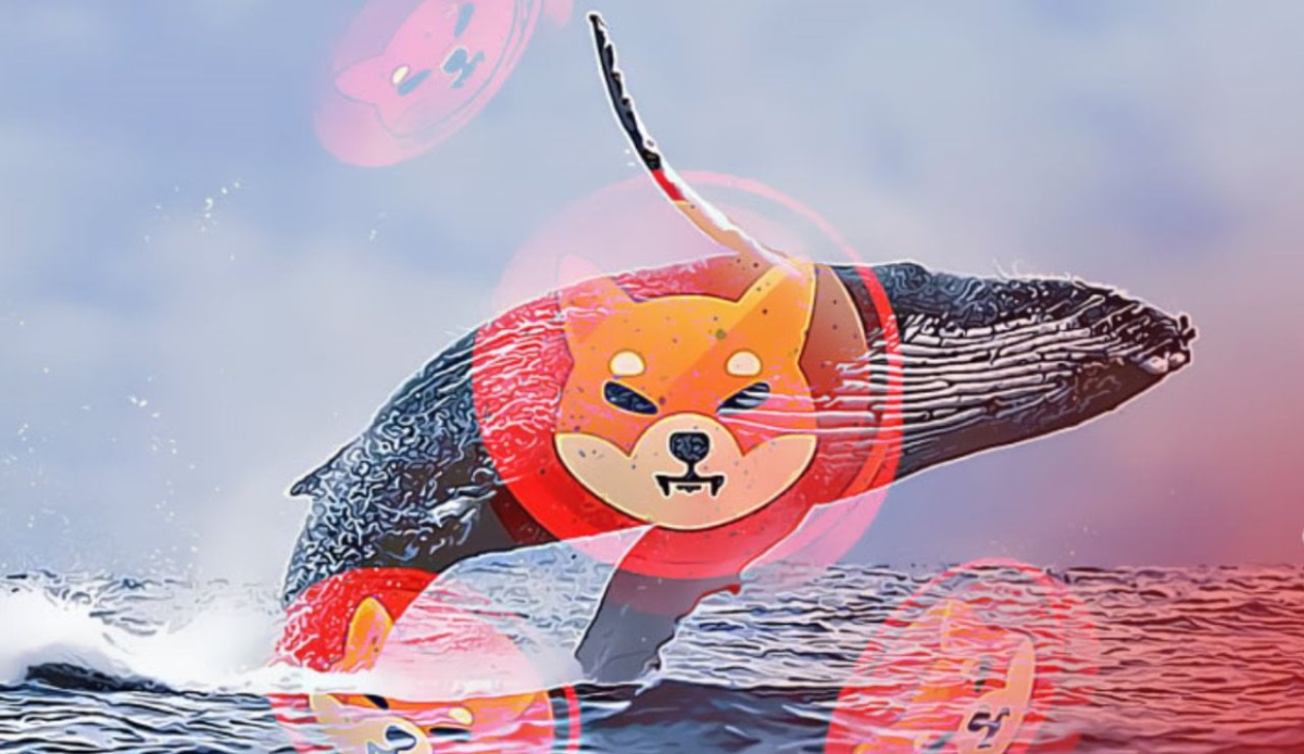 Two ETH Whales Accumulates Whopping 885 27 Billion Shiba Inu Tokens