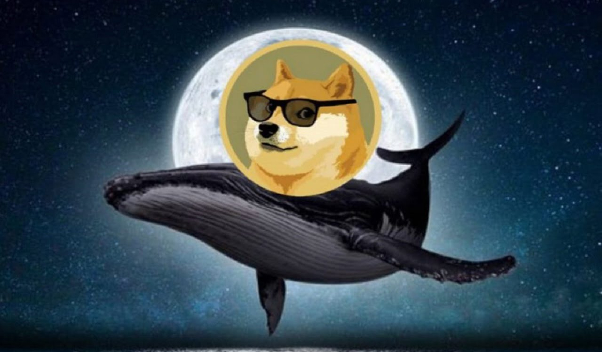 dogecoin whale to the moon 800x627 1