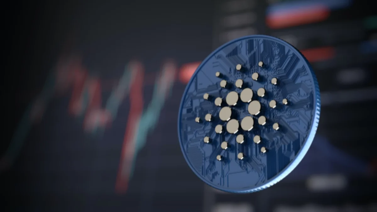 Cardano Vasil Hard Forku Hakkinda Bilmeniz Gereken Her Sey