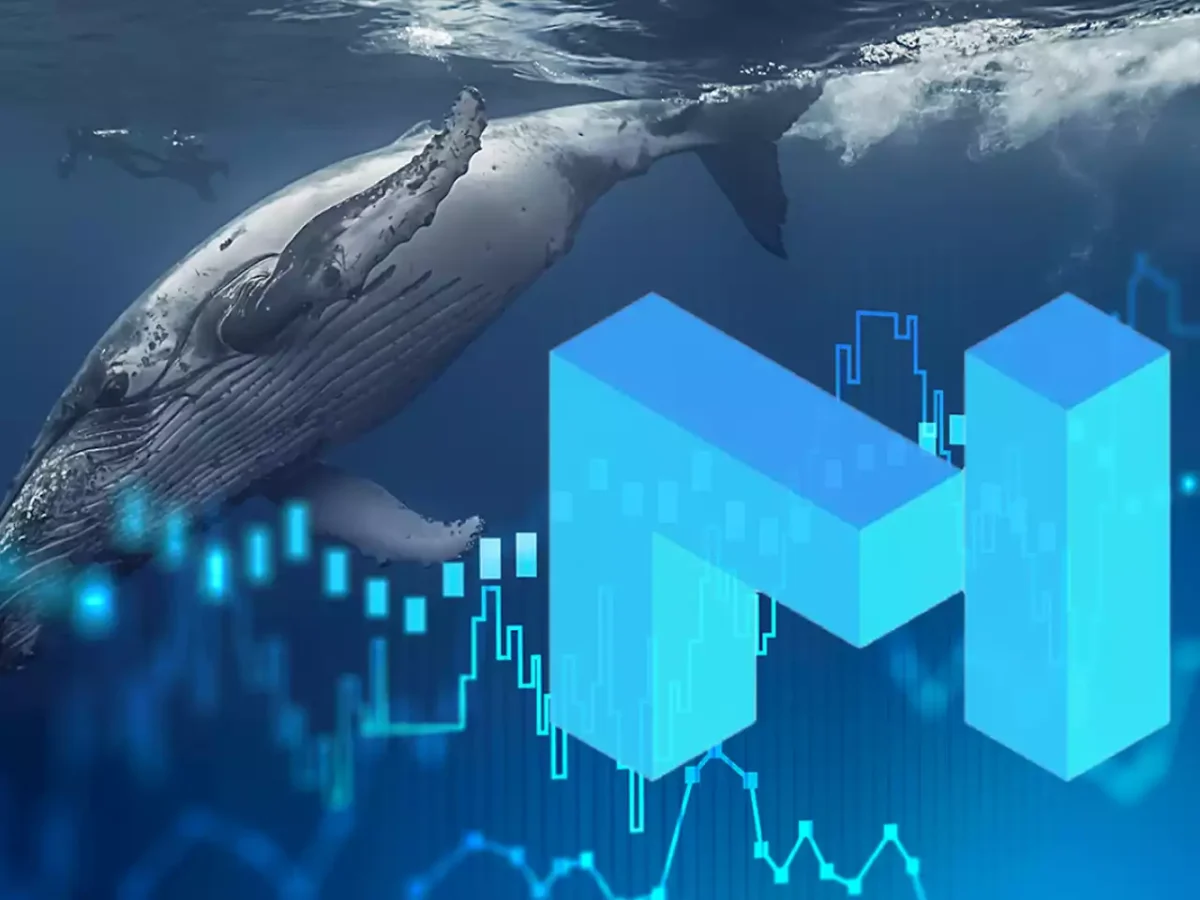 Balinalar MATIC ve Bu Altcoin'lerin Peşinde