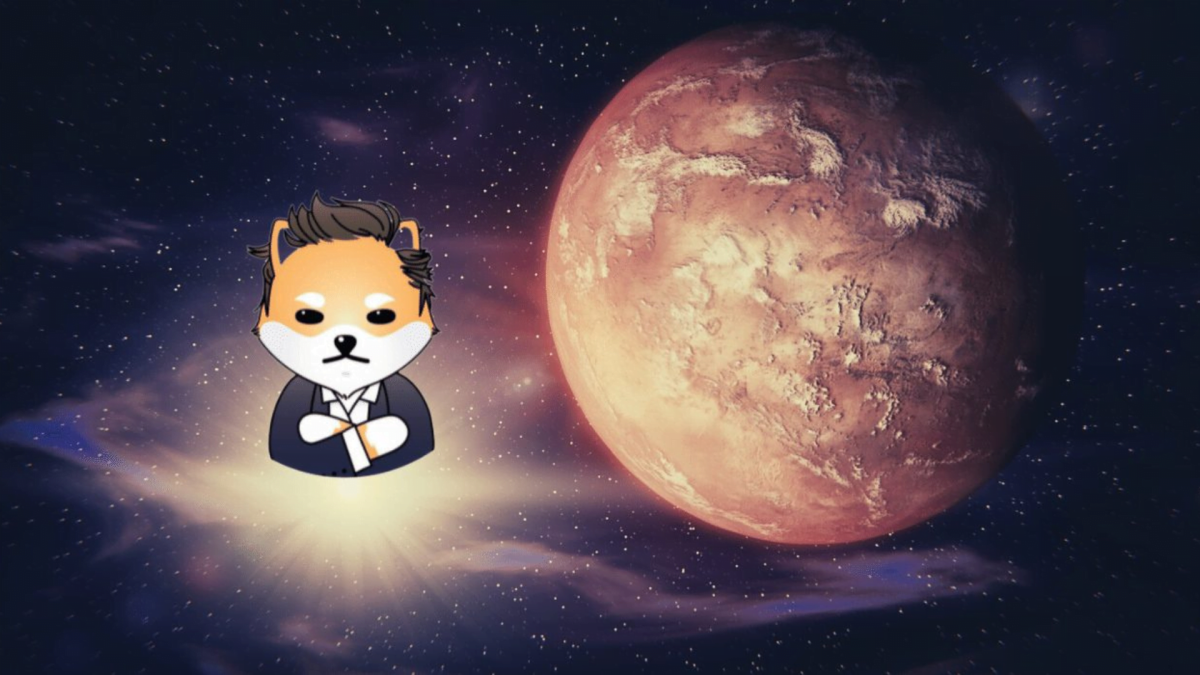 Dogelon MARS Nedir? ELON Coin Ne İşe Yarar?