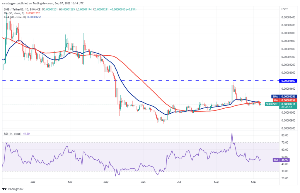 BTC, SHIB, DOGE, BNB ve Bu 6 Altcoin analizleri