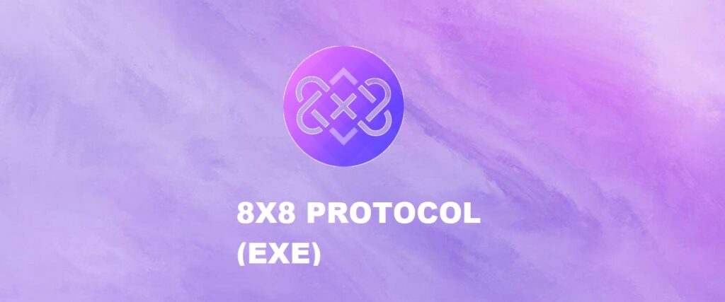 8X8 PROTOCOL Nedir? EXE Ne İşe Yarar?