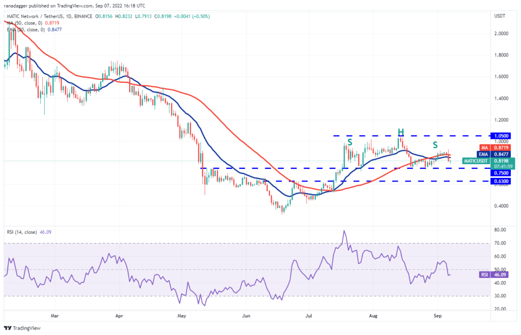 BTC, SHIB, DOGE, BNB ve Bu 6 Altcoin analizleri