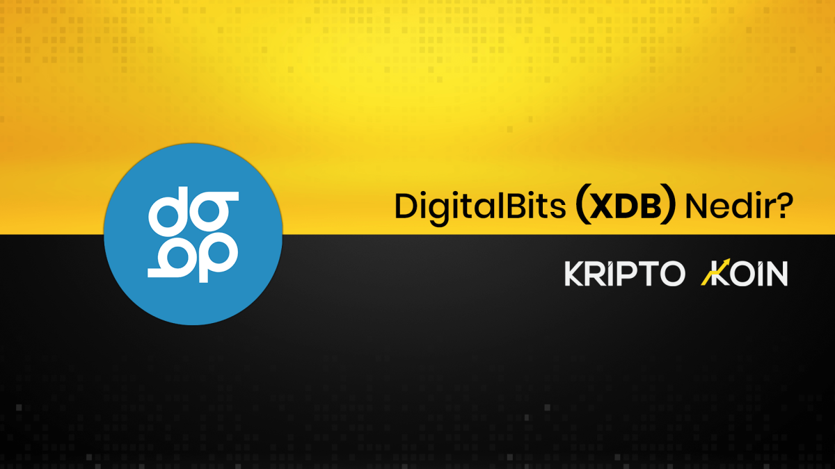 DigitalBits Nedir? XDB Ne İşe Yarar?