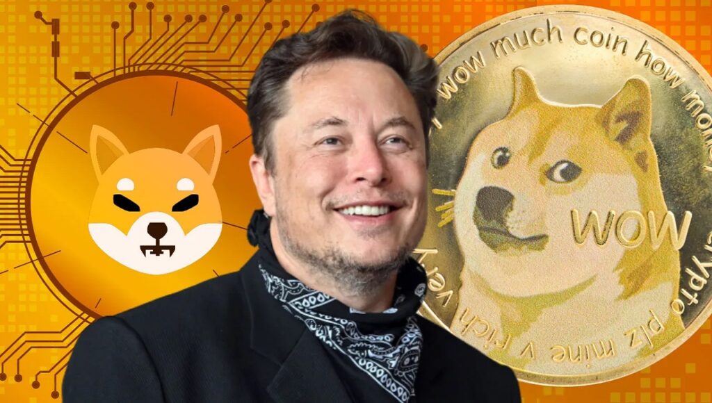 Elon Musk "i will take" Said: Whales Flock to SHIB and DOGE!