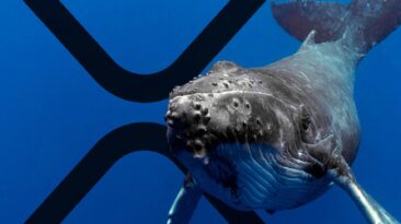 Ripple İçin Kritik Gelişme: Balinalar Çılgınca XRP Aldı!