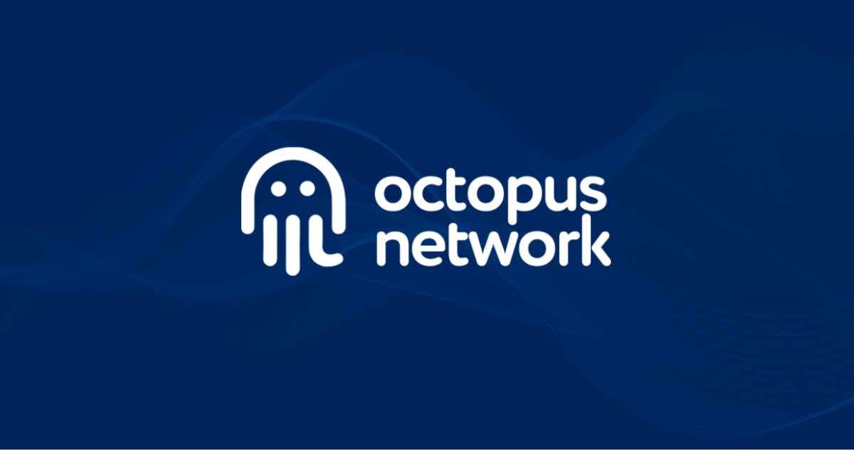 Octopus Network Nedir? OCT Ne İşe Yarar?