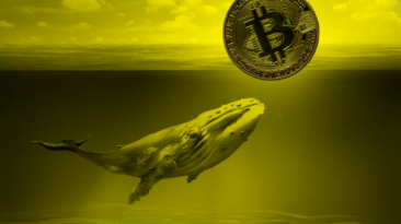 Açıklandı: Balina, Bitcoin (BTC)'i Çökertebilir