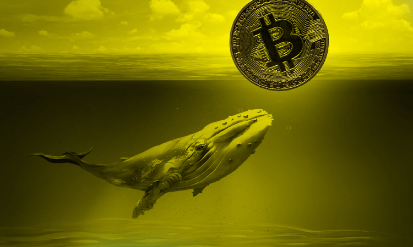 Açıklandı: Balina, Bitcoin (BTC)'i Çökertebilir