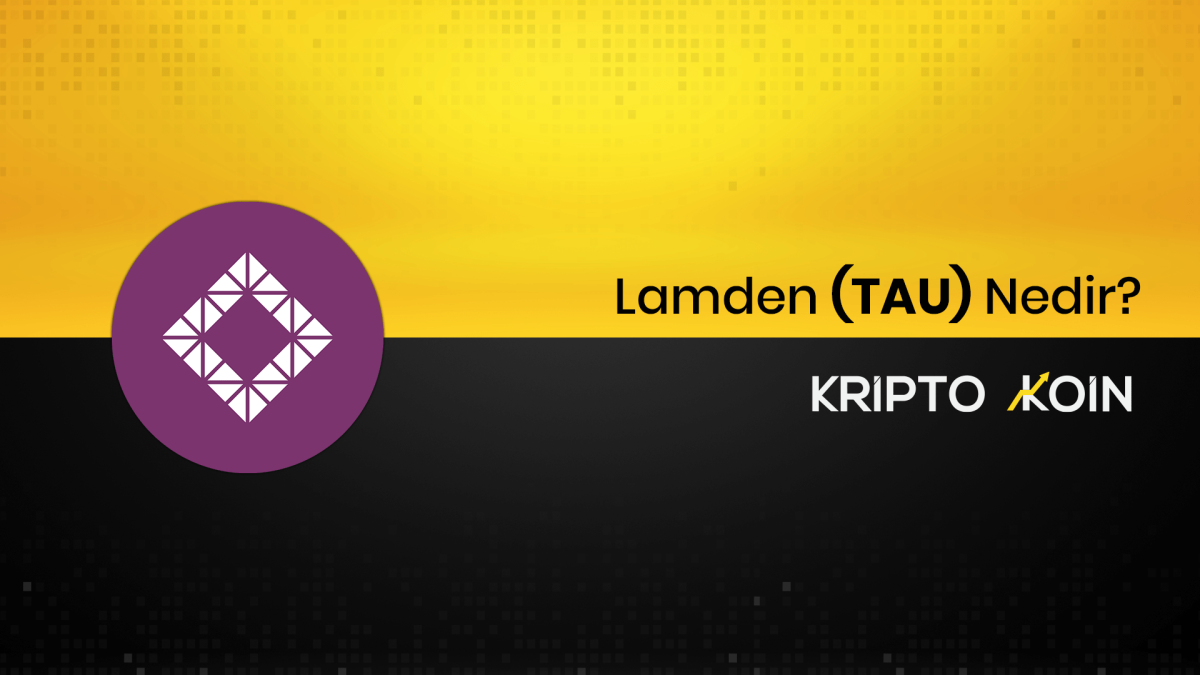 Lamden Nedir? TAU Ne İşe Yarar?