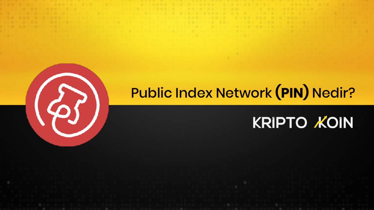 Public Index Network Nedir? PIN Ne İşe Yarar?