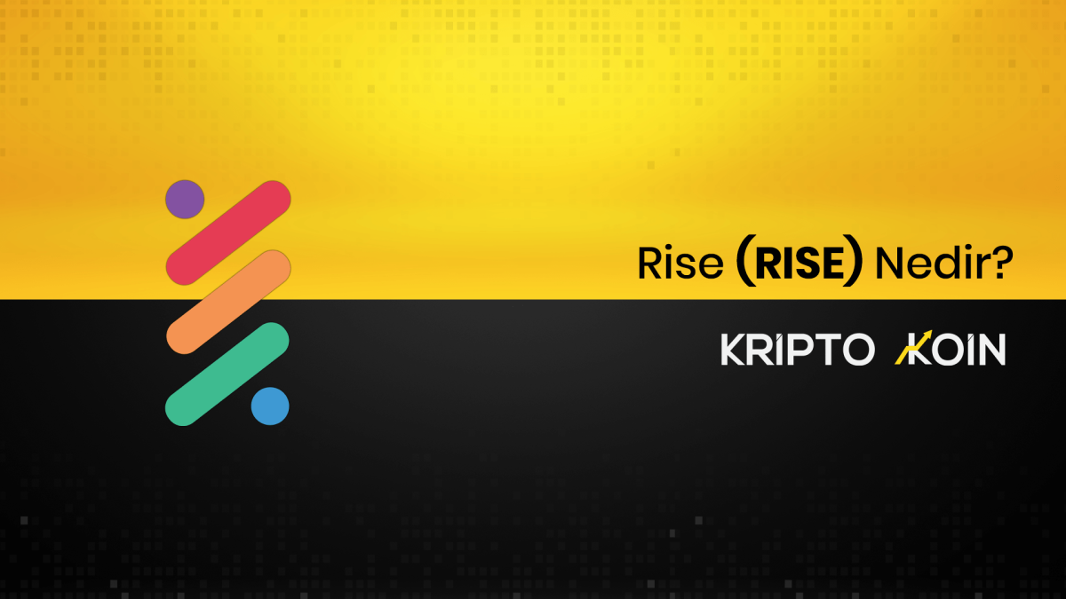 Rise Nedir? RISE Coin Ne İşe Yarar?