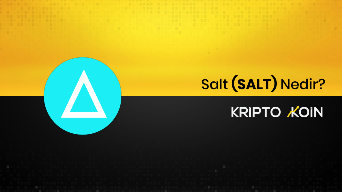 Salt Nedir? SALT Coin Ne İşe Yarar?