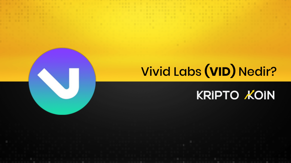Vivid Labs Nedir? VID Ne İşe Yarar?