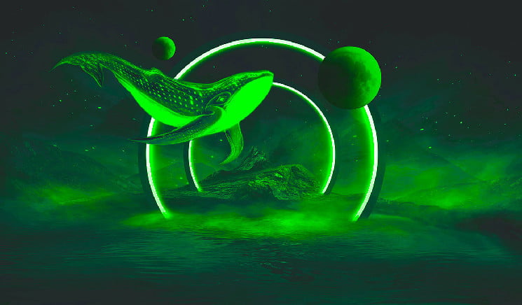 Balina Binance'e Bu Altcoin Döküyor