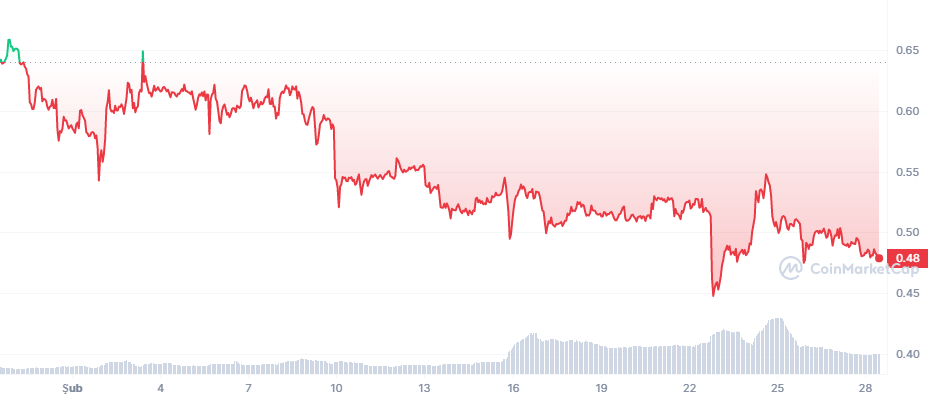 Uzak Durun: Bu 5 Altcoin Piyasadan Milyarları Sildi!