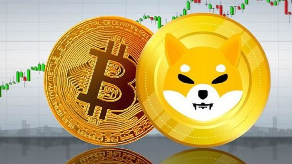 Çok Kez Bildi! 'BTC ve SHIB Şubat'ta Bu Seviyelerde'