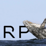 Ripple (XRP) Düşmeye Devam Ederken Balinalar Biriktiriyor!
