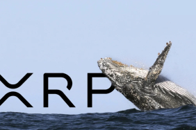 En Büyük 3 Ripple (XRP) Balinası