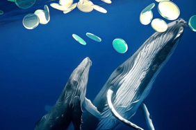 Kurumsal Balinaların Radarında Bu 2 Altcoin Var!