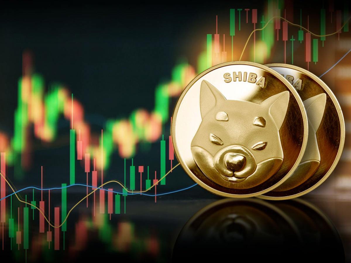 Shiba Inu Beklenen Duyuruyu Yaptı! Çok Yakında Açılıyor