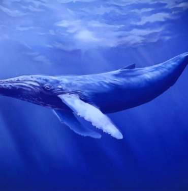 Balinalar Bu Altcoin'leri Uçurabilir: Torbalarca Aldılar!