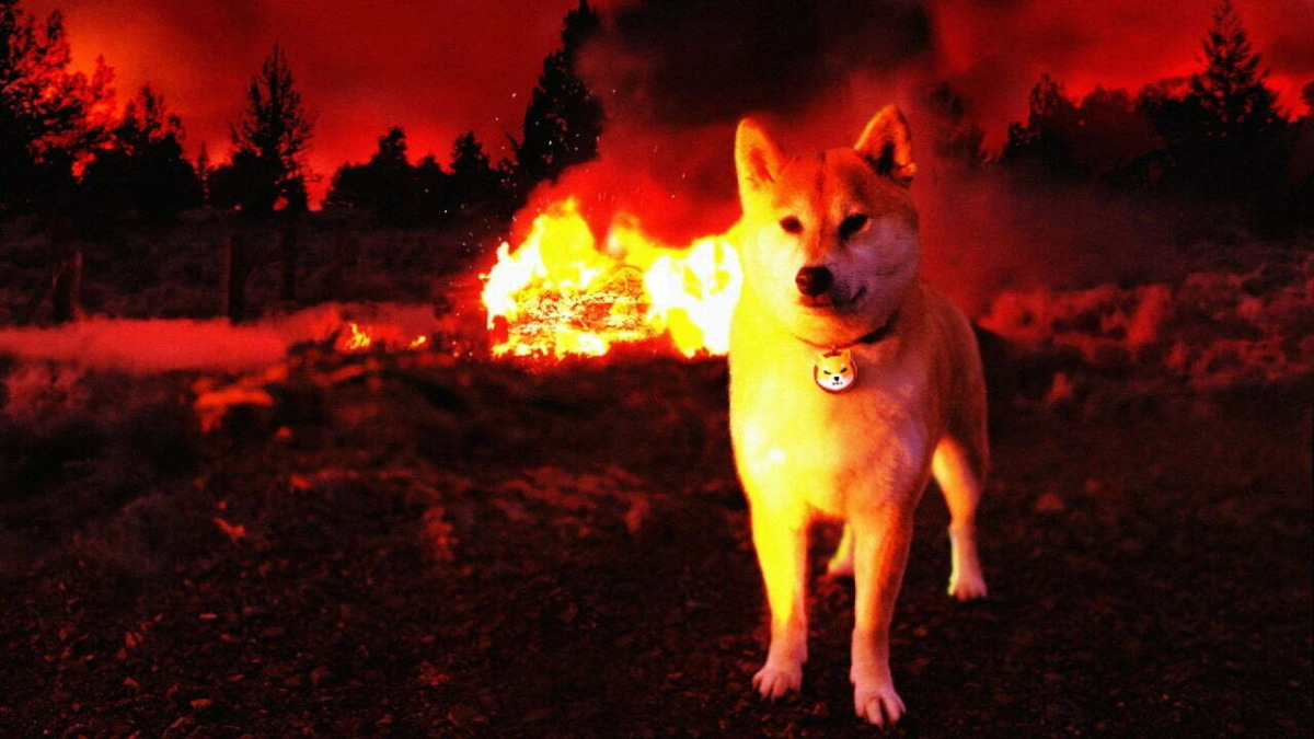 Critical Warning Arrived for Shiba Inu and These 2 Altcoins: Here's Why!