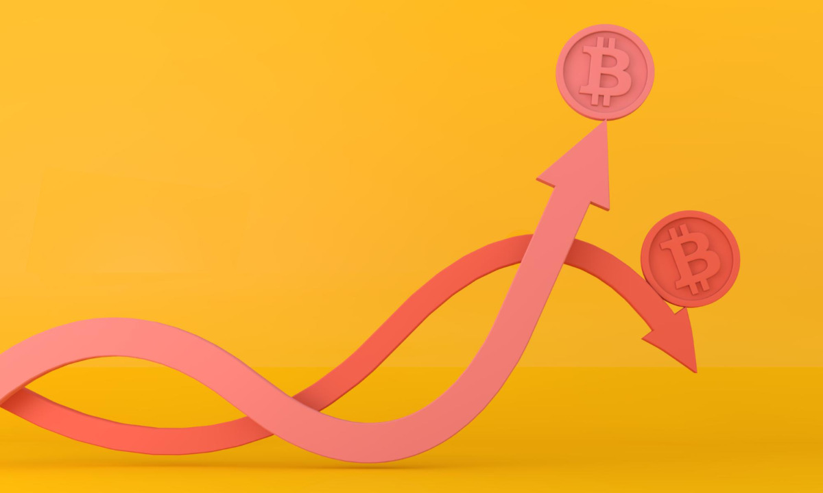 İki Bitcoin Ustasından İki Farklı Tahmin: Hangisi Çıkacak?
