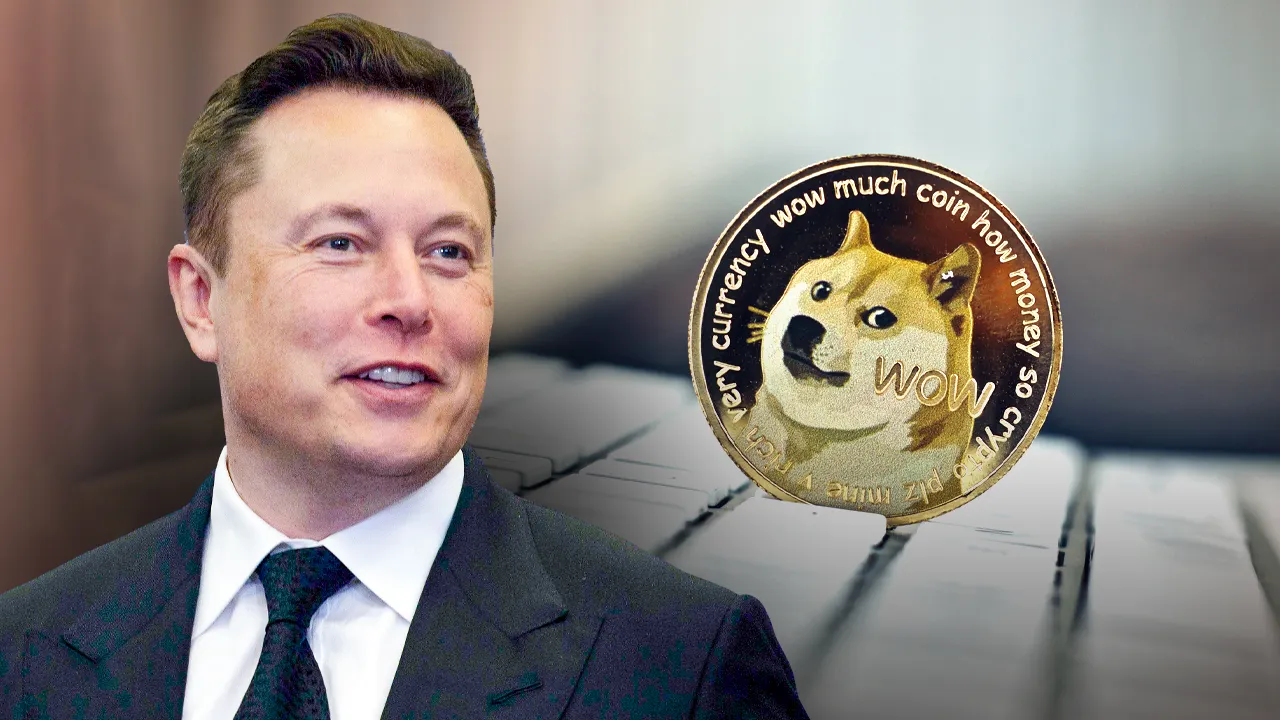 Dogecoin'deki Düşüş ve Elon Musk'ın Etkisi