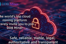 DDB Miner Kullanarak Nasıl Hızlı Bir Şekilde Pasif Gelir Elde Edilir?