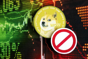 Dogecoin Risk Altında mı? Hacker, Kritik Açığı Ortaya Çıkardı!