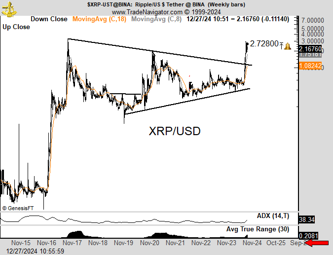 2024'ün Sonlarında XRP Coin ve Kripto Para Piyasası