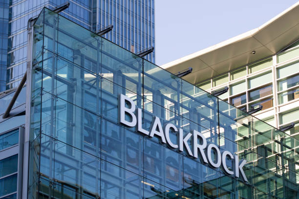 BlackRock BUIDL Fonu Fırladı: Tokenizasyon Piyasasında Rekor!