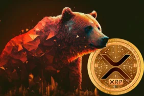XRP Tehlikede: Yatırımlar, Ocak'tan Bu Yana 'Durma' Noktasında!