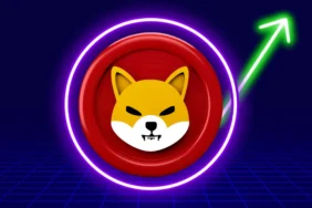 Yapay Zekadan Müjde: SHIB Nisan'da Yükselecek! 14x'lik Ralli!