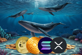 3 Kripto Devi ve Balinaların Favori Altcoini Yükselmeye Hazır! 2025’te Şimdiden Yüzde Yüz Yükseldi!