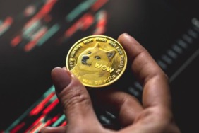 Elon Musk Ayrılabilir: Ancak, Dogecoin Sağlam Duruyor!