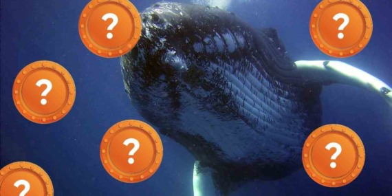 Balinalar Durmadan Bu Kripto Parayı Topluyor! Neyi Biliyorlar?